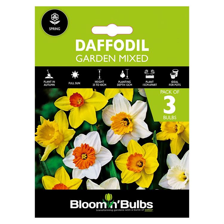 Picture of DAFFODIL GARDEN MIXED 3pk