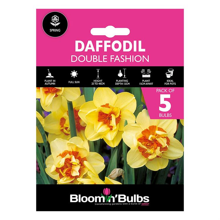 Picture of DAFFODIL DOUBLE FASHION 5pk