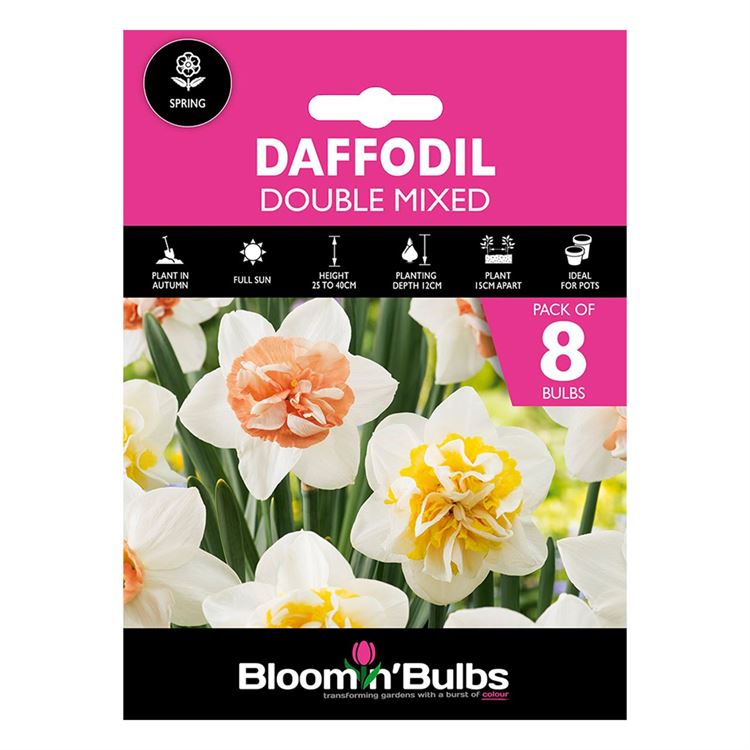 Picture of DAFFODIL DOUBLE MIXED 8pk