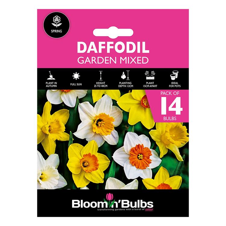 Picture of DAFFODIL GARDEN MIXED 14pk