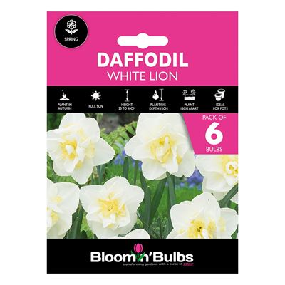 Picture of DAFFODIL WHITE LION 6pk