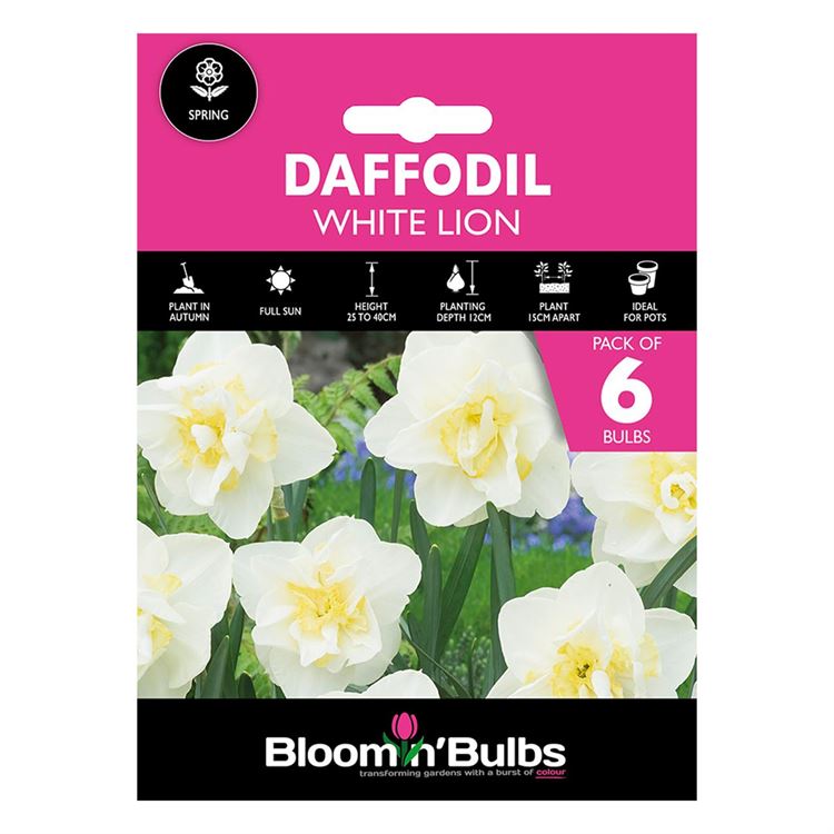 Picture of DAFFODIL WHITE LION 6pk