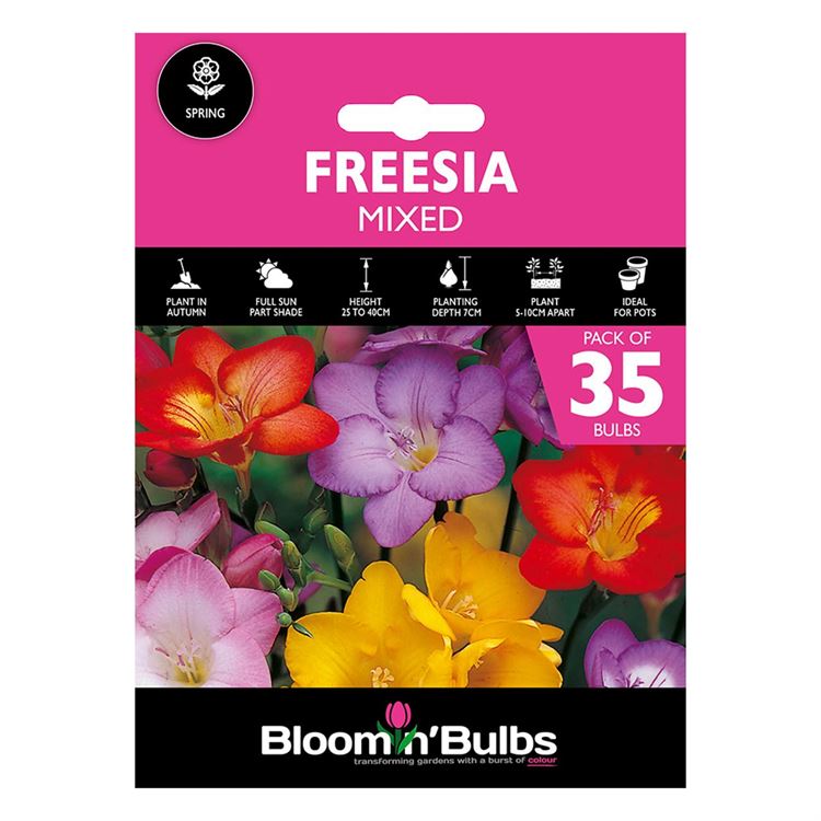 Picture of FREESIA MIXED 35pk