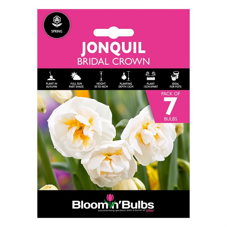 Picture of JONQUIL BRIDAL CROWN 7pk