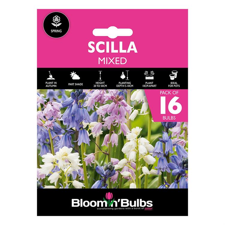 Picture of SCILLA MIXED 16pk