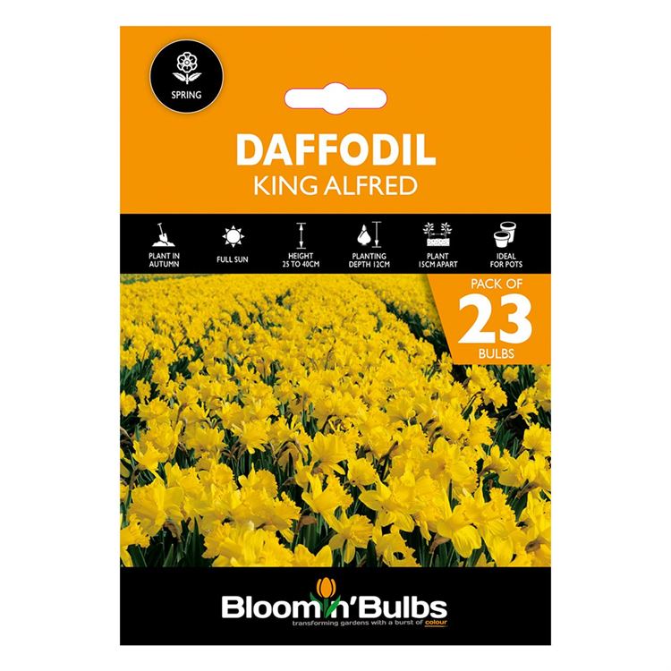 Picture of DAFFODIL KING ALFRED 23PK