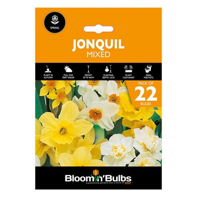 Picture of JONQUIL MIXED 22PK