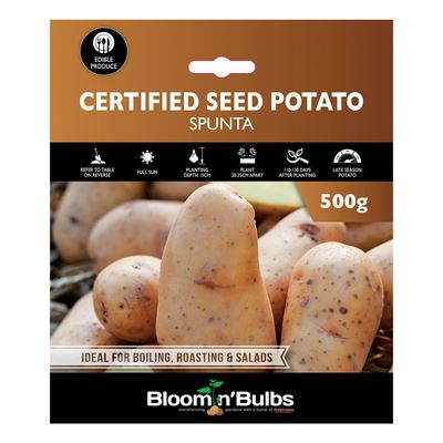 Picture of CERT. SEED POTATO-SPUNTA 500g