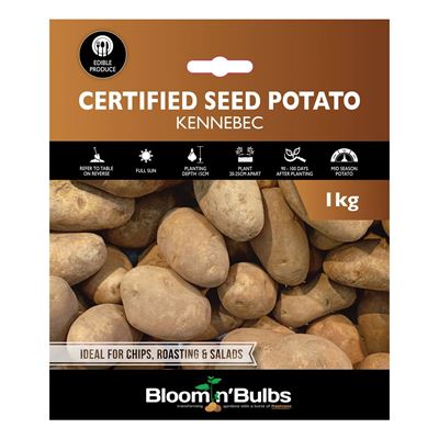 Picture of CERT. SEED POTATO-KENNEBEC 1kg