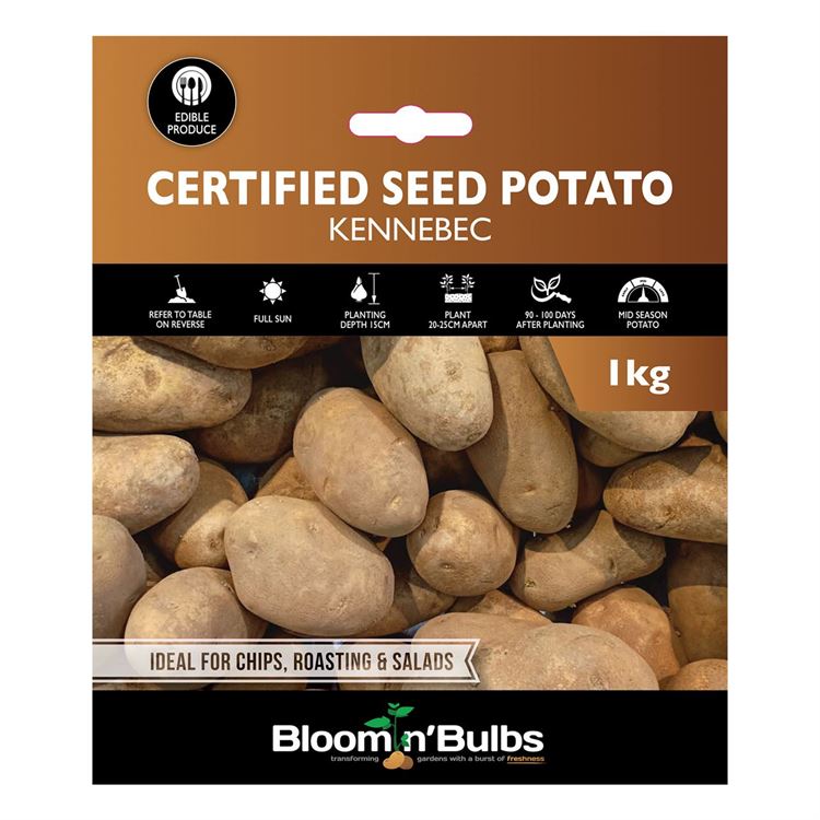 Picture of CERT. SEED POTATO-KENNEBEC 1kg