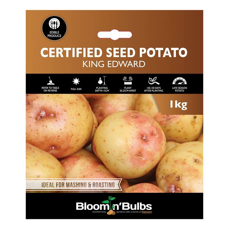 Picture of CERT. SEED POTATO-KING EDWARD 1kg