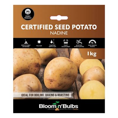 Picture of CERT. SEED POTATO-NADINE 1kg