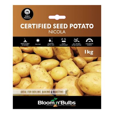 Picture of CERT. SEED POTATO-NICOLA 1kg