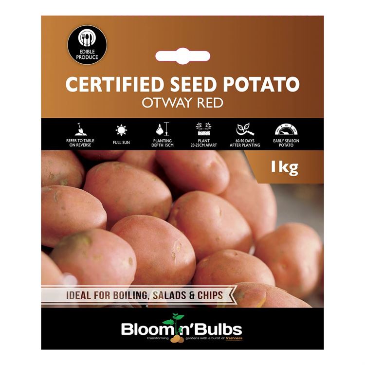 Picture of CERT. SEED POTATO-OTWAY RED 1kg