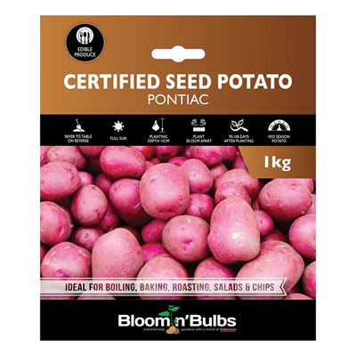 Picture of CERT. SEED POTATO-PONTIAC 1kg