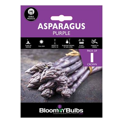 Picture of ASPARAGUS PURPLE 1pk