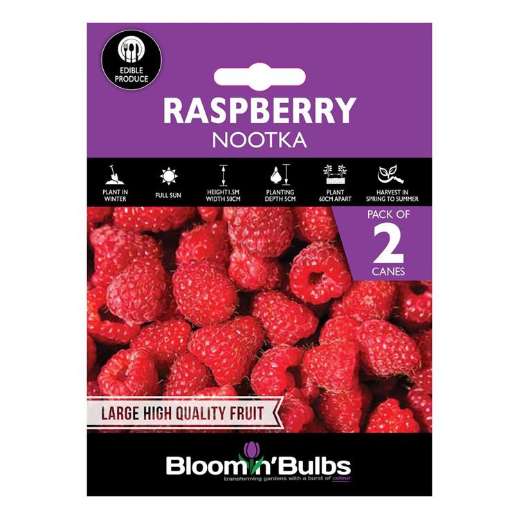 Picture of RASPBERRY NOOTKA 2pk