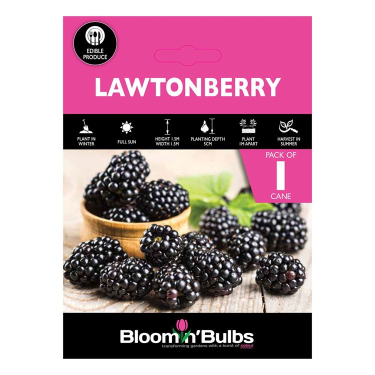 Picture of LAWTONBERRY 1pk