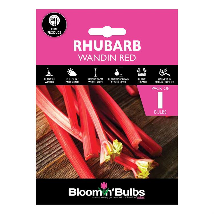 Picture of RHUBARB WANDIN RED 1pk