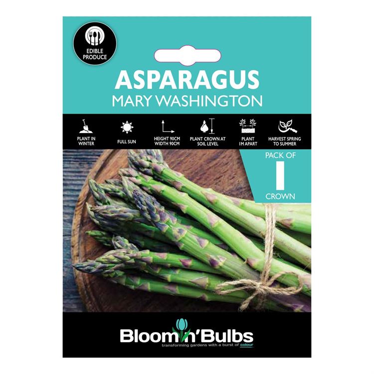 Picture of ASPARAGUS MARY WASHINGTON 1pk