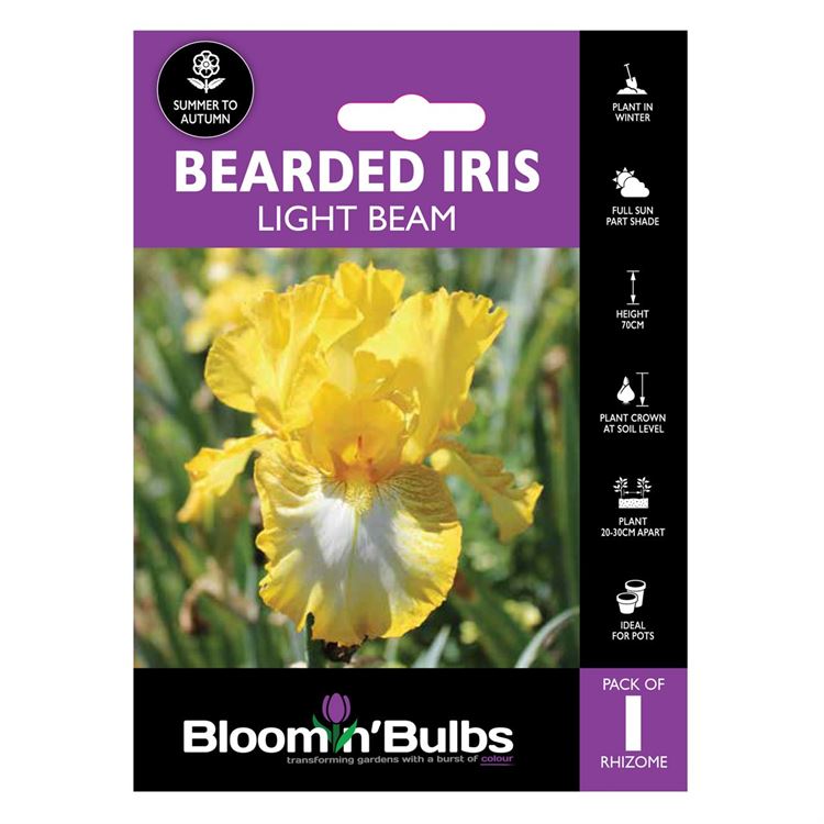 Picture of BEARDED IRIS LIGHT BEAM 1pk