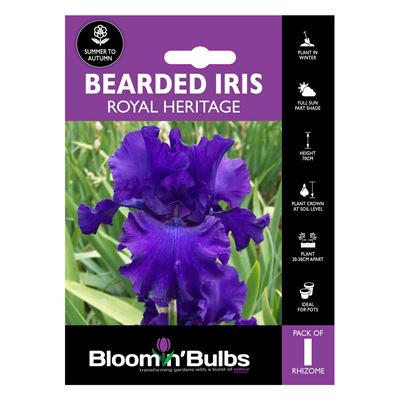 Picture of BEARDED IRIS ROYAL HERITAGE 1pk