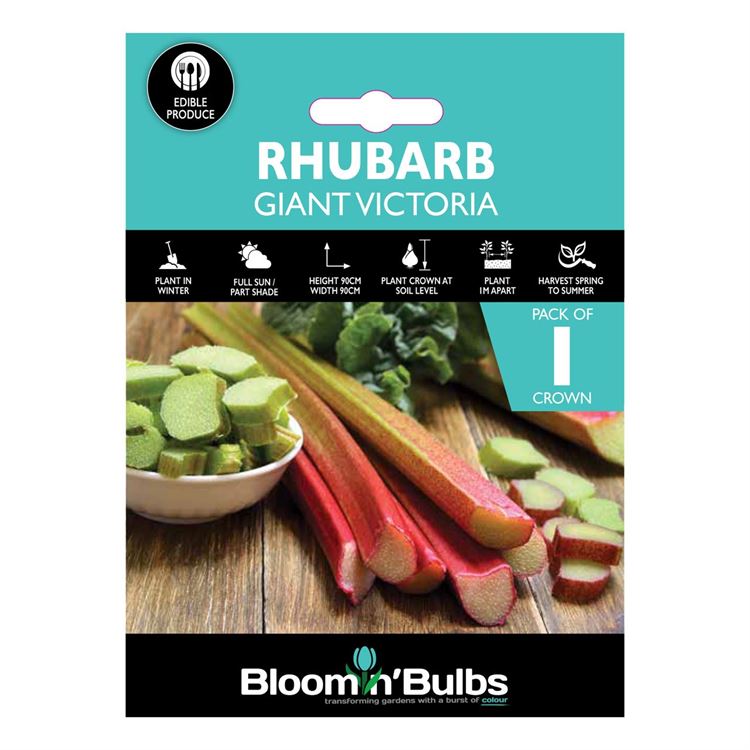 Picture of RHUBARB GIANT VICTORIA 1pk