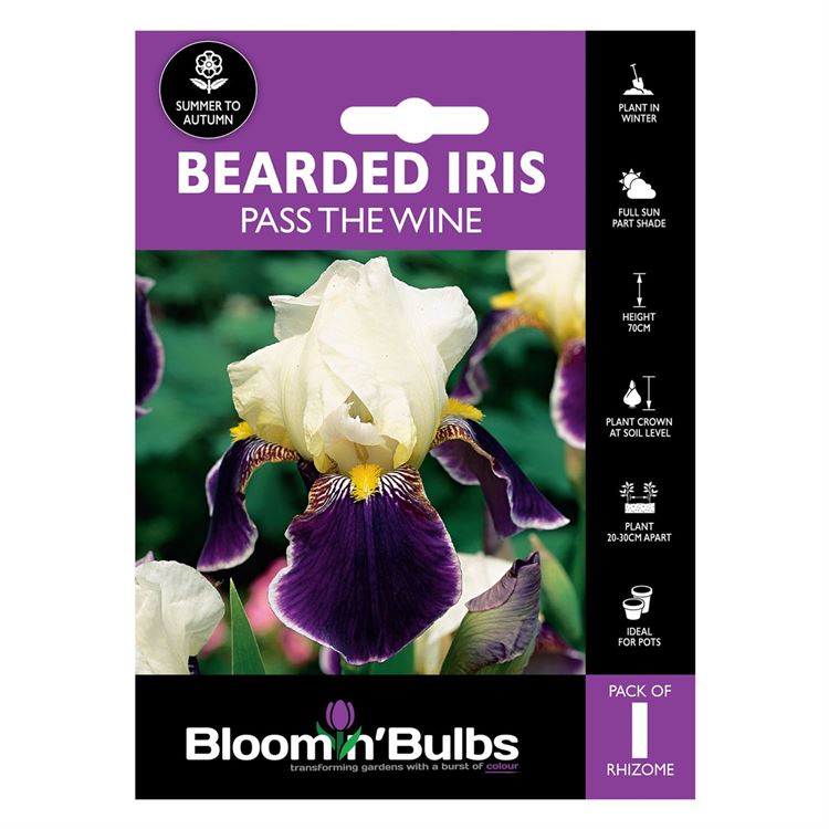 Picture of BEARDED IRIS PASS THE WINE 1pk