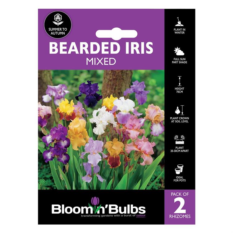 Picture of BEARDED IRIS MIXED 2pk