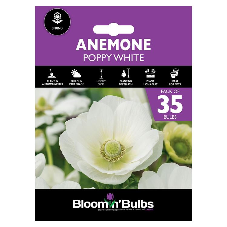 Picture of ANEMONE POPPY WHITE 35pk