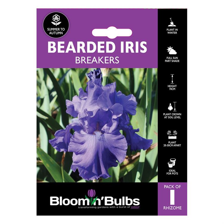 Picture of BEARDED IRIS BREAKERS 1pk