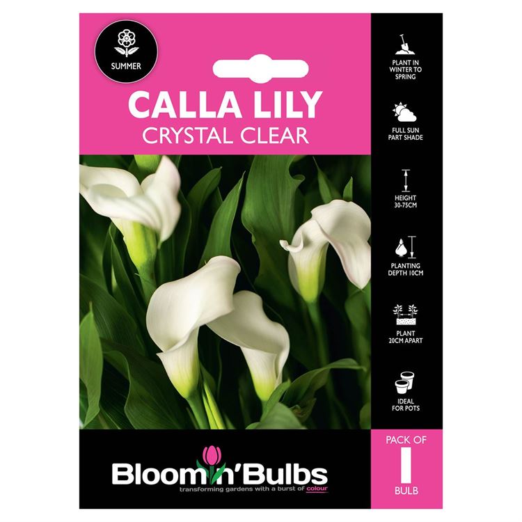 Picture of CALLA LILY CRYSTAL CLEAR 1pk