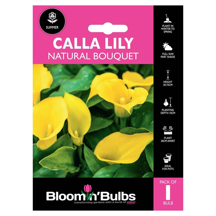 Picture of CALLA LILY NATURAL BOUQUET 1pk