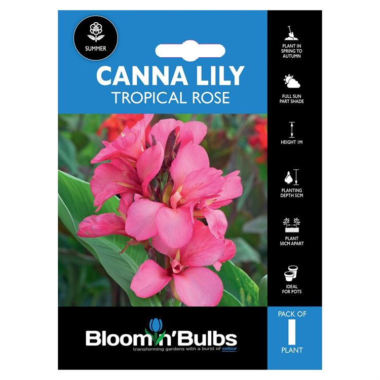 Picture of CANNA LILY TROPICAL ROSE 1pk