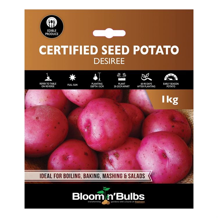 Picture of CERT. SEED POTATO-DESIREE 1kg