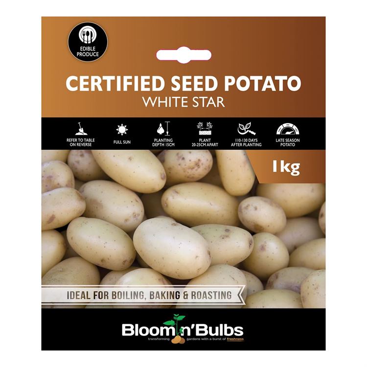 Picture of CERT. SEED POTATO-WHITE STAR 1kg
