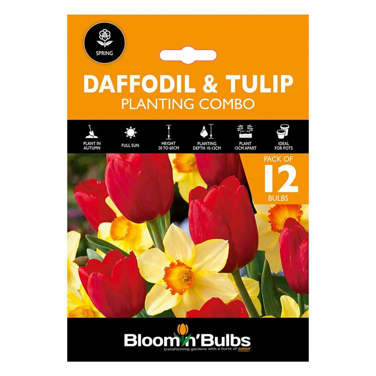 Picture of DAFFODIL & TULIP PLANTING COMBO 12pk 