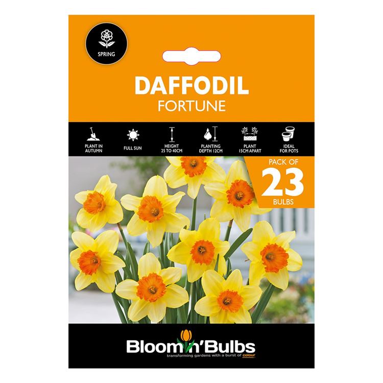 Picture of DAFFODIL FORTUNE 23PK