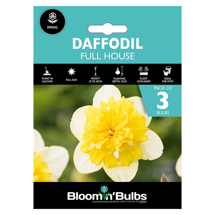 Picture of DAFFODIL FULL HOUSE 3pk