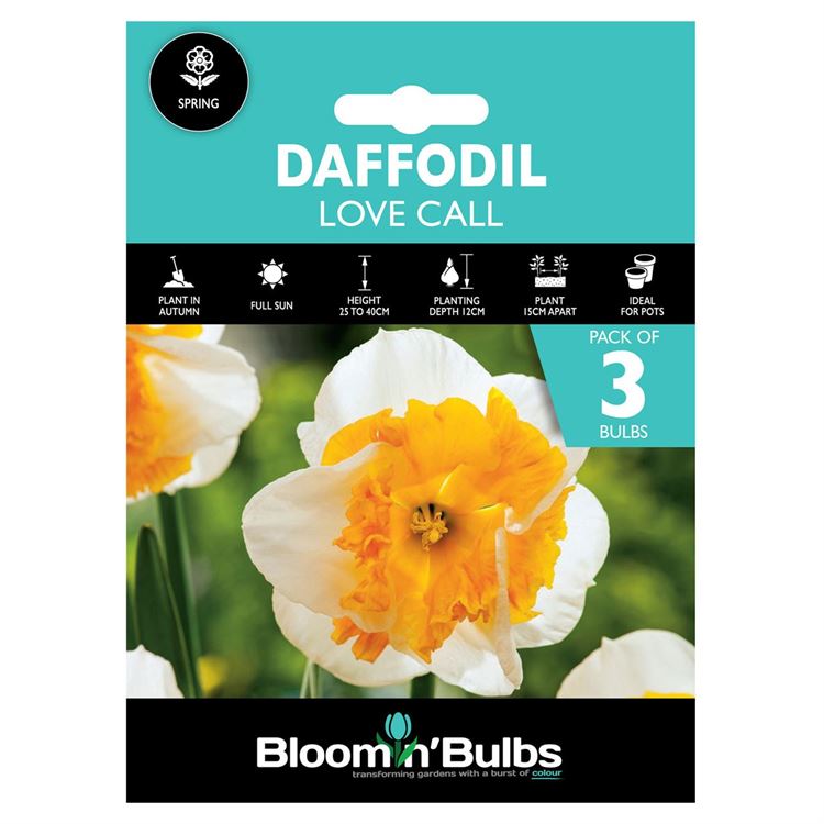 Picture of DAFFODIL LOVE CALL 3pk