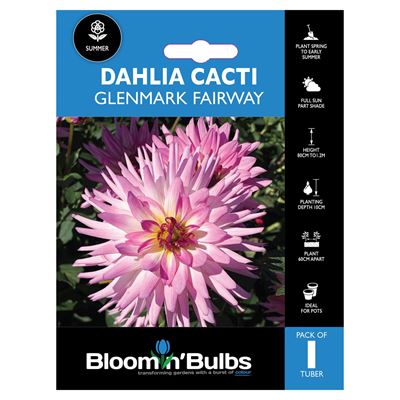 Picture of DAHLIA GLENMARK FAIRWAY 1 PK