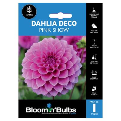 Picture of DAHLIA PINK SHOW 1pk