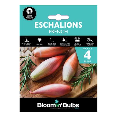 Picture of FRENCH ECHALIONS 4pk