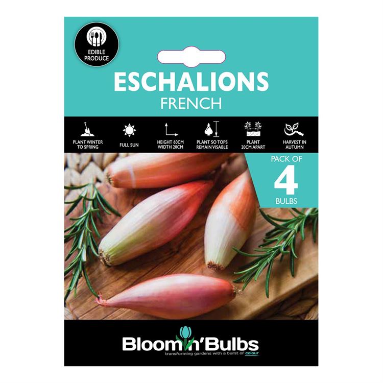 Picture of FRENCH ECHALIONS 4pk