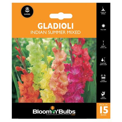 Picture of GLADIOLI INDIAN SUMMER BLEND 15pk