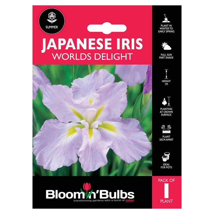 Picture of JAPANESE IRIS WORLDS DELIGHT 1pk