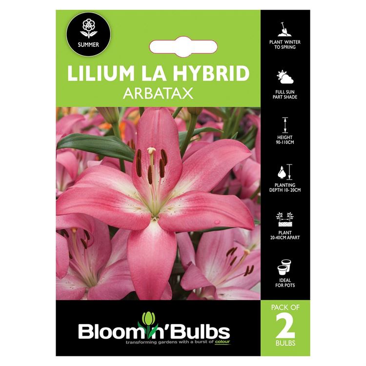 Picture of LILIUM ARBATAX 2pk