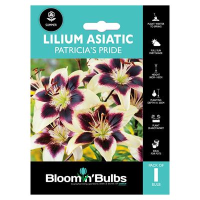 Picture of LILIUM PATRICIAS PRIDE 1pk