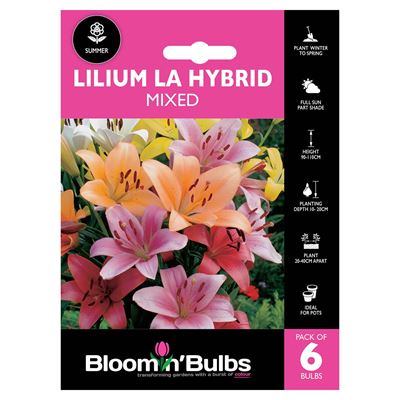 Picture of LILIUM LA HYBRID MIXED 6pk