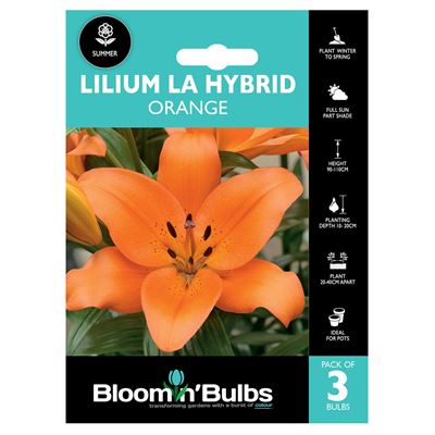 Picture of LILIUM LA HYBRID ORANGE 3pk